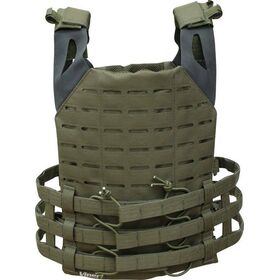 Back View Plate Carrier